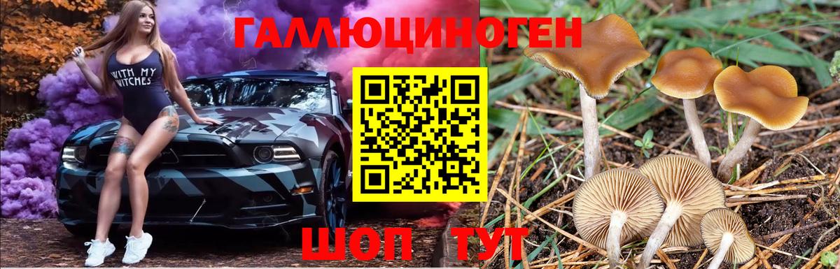 Мытищи  Галлюциногенные грибы MAGIC MUSHROOMS  Вход с VPN  Псилоцибиновые грибы Psilocybine cubensis 